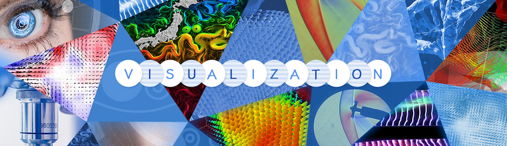 表彰 The Visualization Society Of Japan